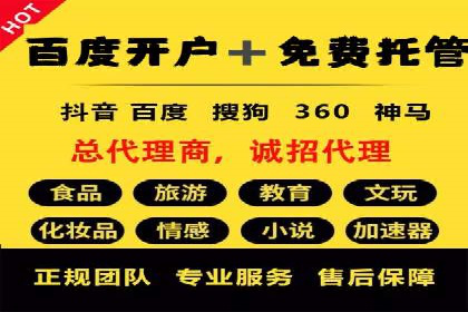 解析SEM托管公司经典案例：如何制定有效的广告策略
